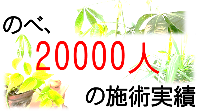 �ׁ̂A20000�l�̎{�p����