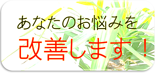 ���Ȃ��̂��Y�݂����P���܂�